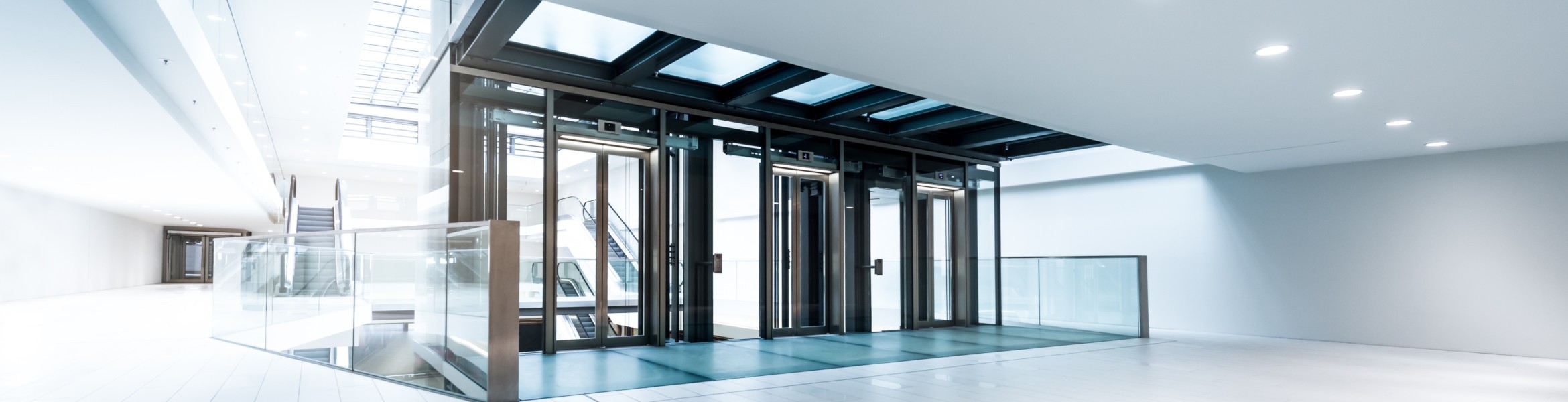 Auto Door Servicing